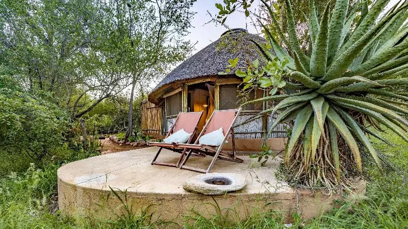 ホテル Umlani Bushcamp   Lodge