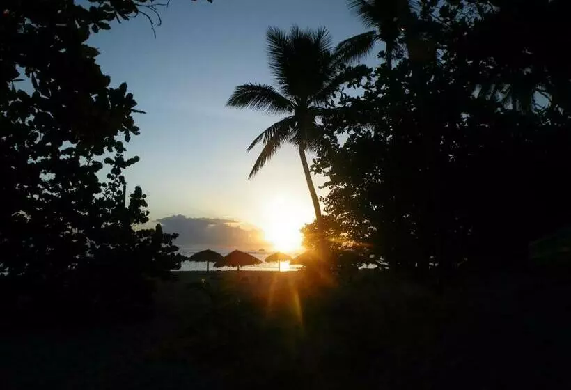 ホテル Vh   Gran Ventana Beach Resort