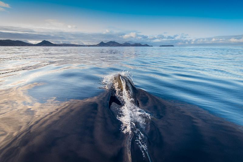 ホテル Vila Baleira Porto Santo
