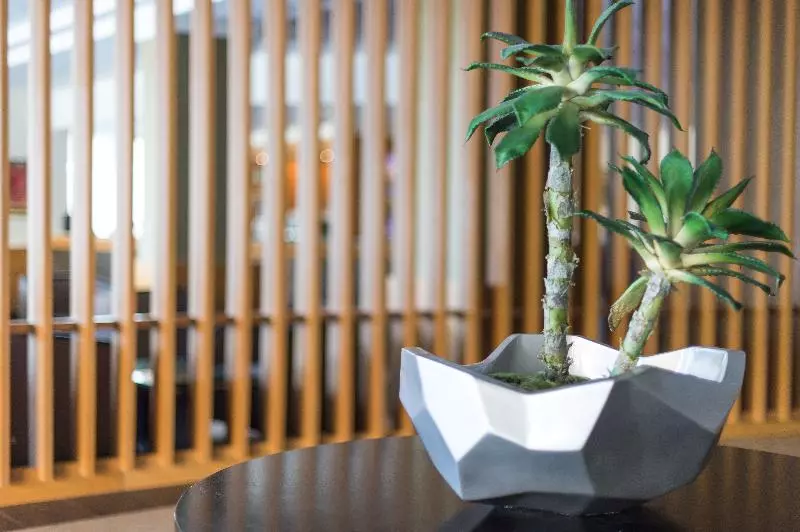 호텔 Vila Baleira Porto Santo