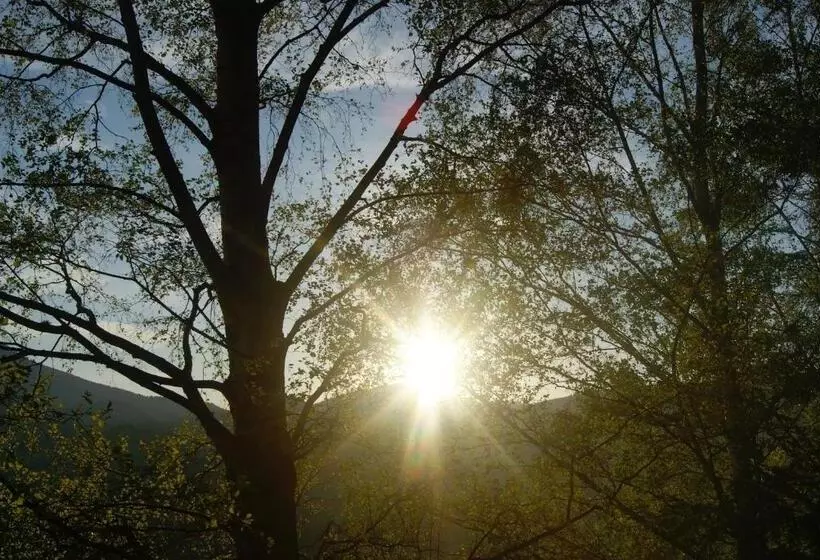 Landhotel Restaurant Willingshofer