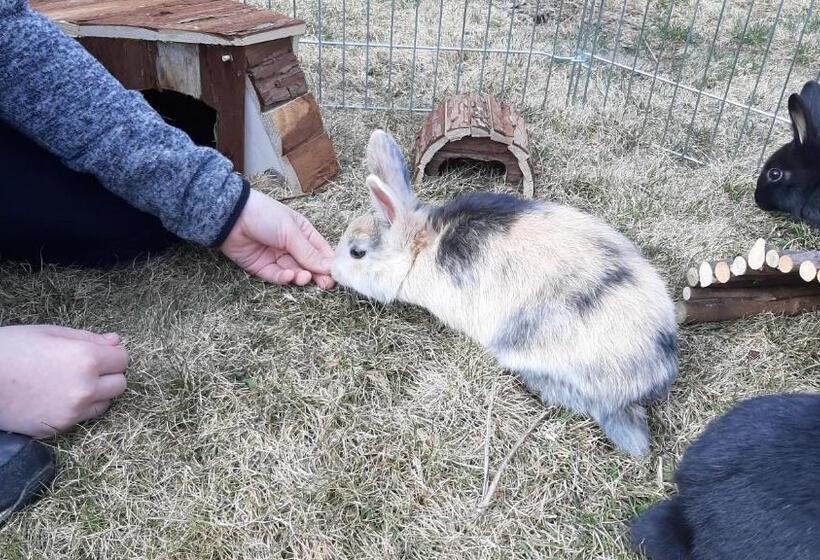 Landhotel Restaurant Willingshofer