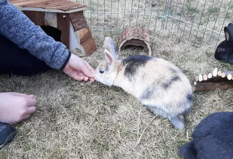 Landhotel Restaurant Willingshofer