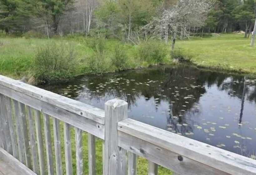 Mackenzie Motel & Cottages