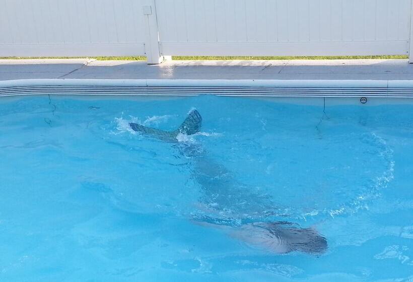 Mackenzie Motel & Cottages