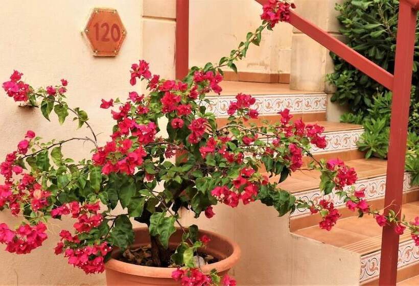 پانسیون Fonda Las Palmeras