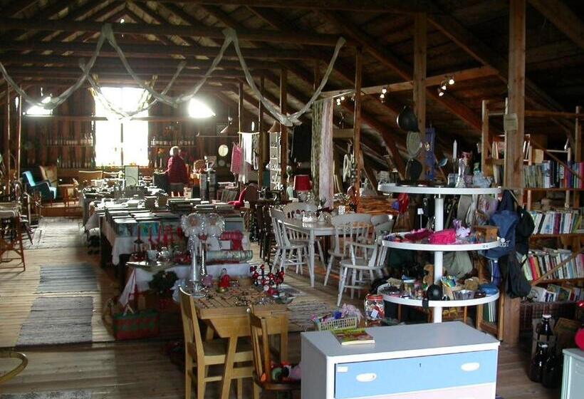 Månsåsen Bed & Breakfast