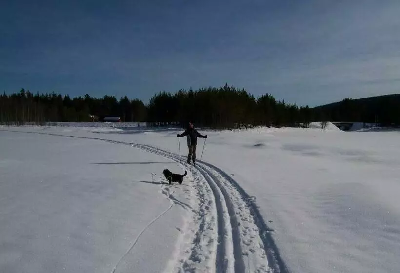Nya Skogsgården Hostel