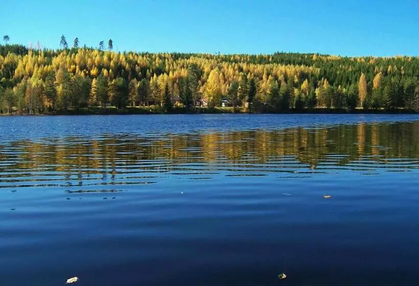 Nya Skogsgården Hostel