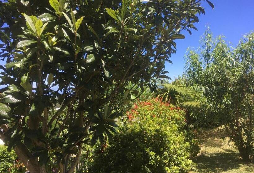 تختخواب و صبحانه Caloupilé