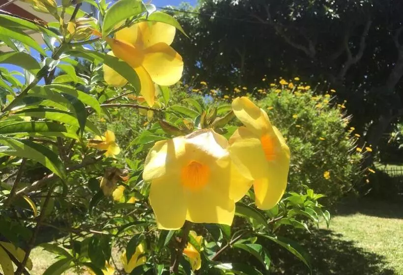 تختخواب و صبحانه Caloupilé