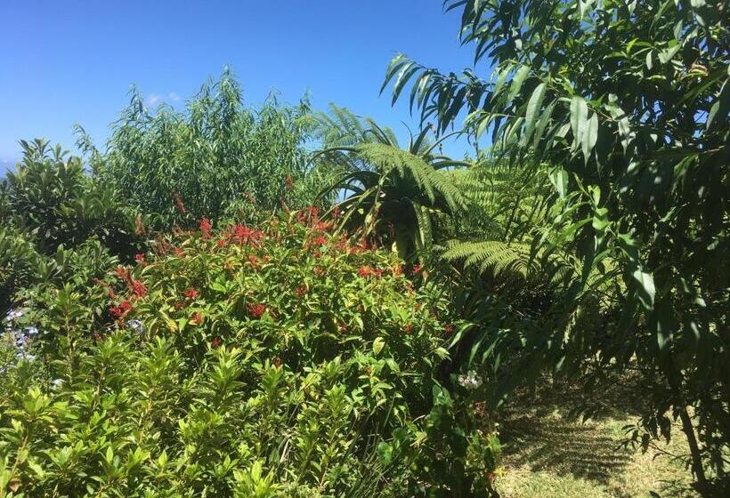 تختخواب و صبحانه Caloupilé