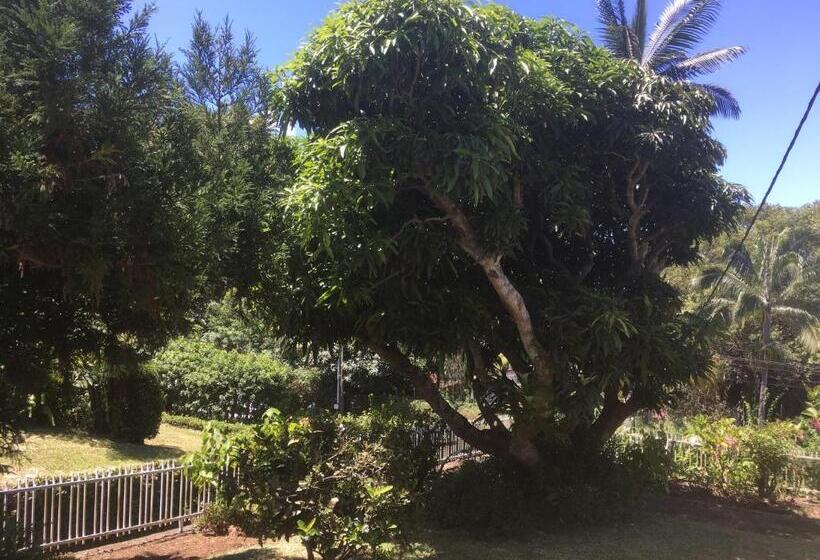 تختخواب و صبحانه Caloupilé