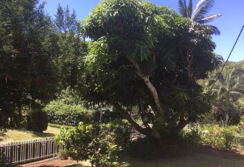 تختخواب و صبحانه Caloupilé