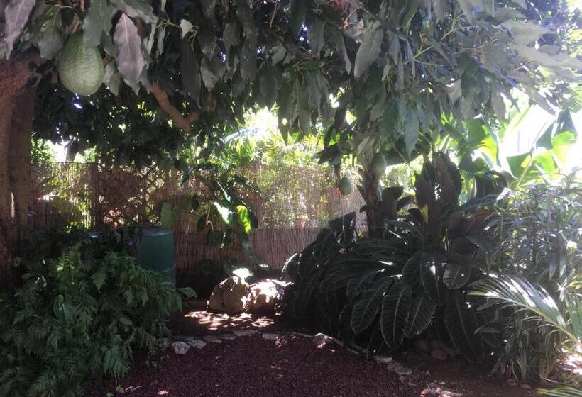 تختخواب و صبحانه Caloupilé