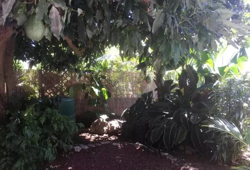 تختخواب و صبحانه Caloupilé