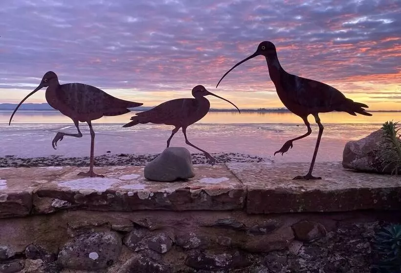 Aamiaismajoitus (B&B) The Waterside Rooms