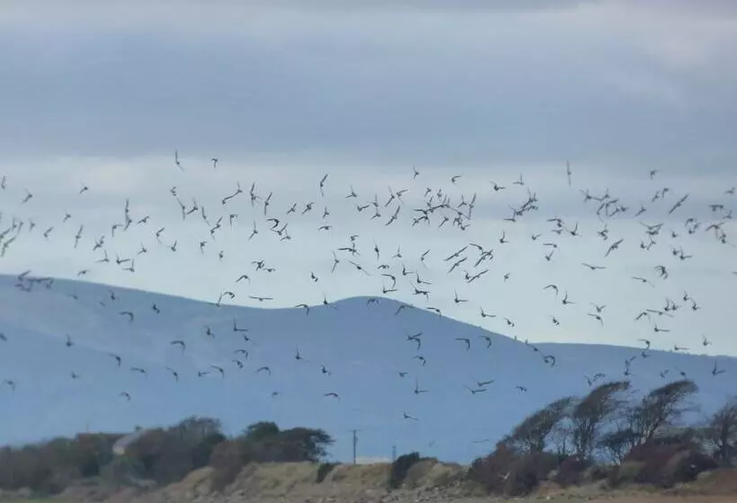 Aamiaismajoitus (B&B) The Waterside Rooms