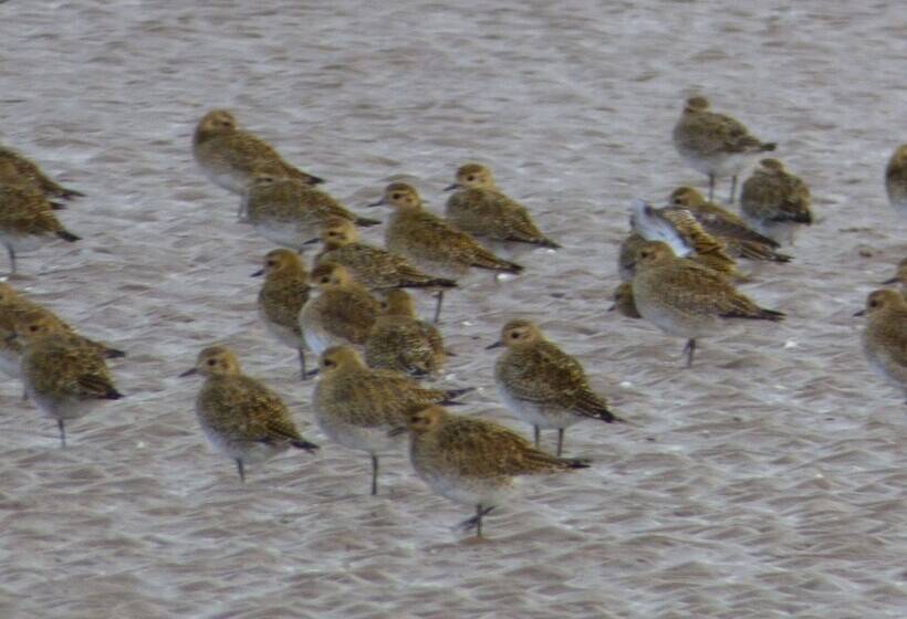 Nocleg ze śniadaniem The Waterside Rooms