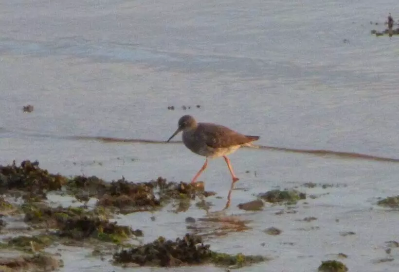 Aamiaismajoitus (B&B) The Waterside Rooms