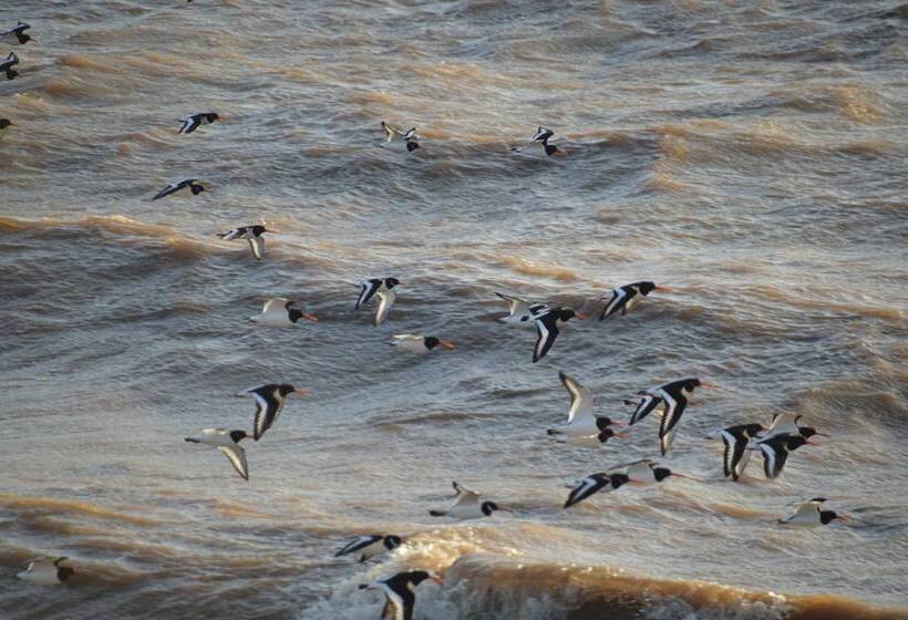 Nocleg ze śniadaniem The Waterside Rooms