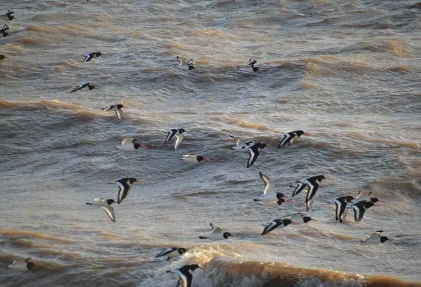 Aamiaismajoitus (B&B) The Waterside Rooms