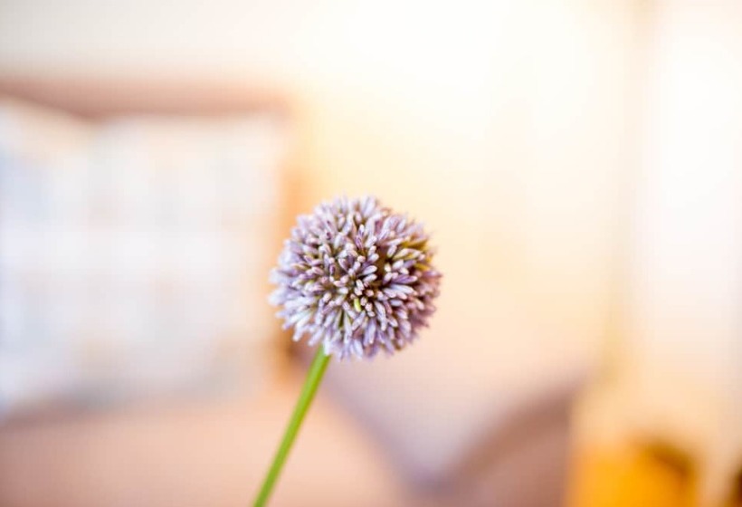 بنسيون Gästehaus C.h.berres