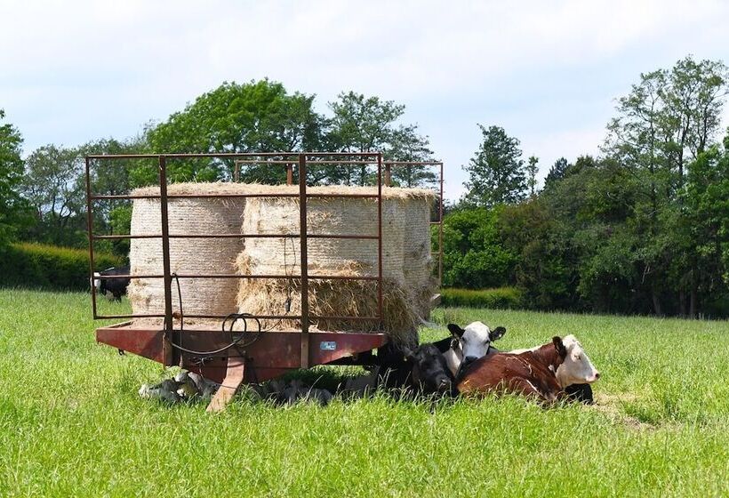 Rowley Farm Holidays