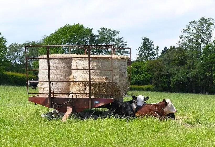 Rowley Farm Holidays