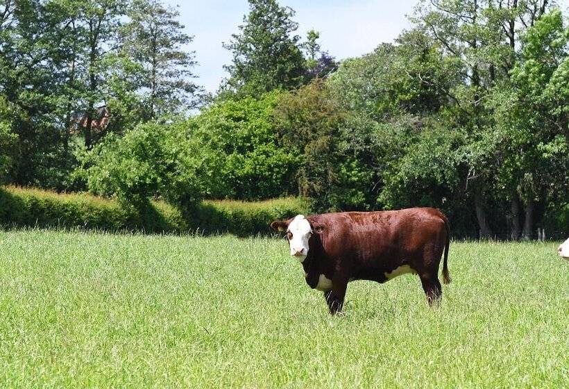 Rowley Farm Holidays