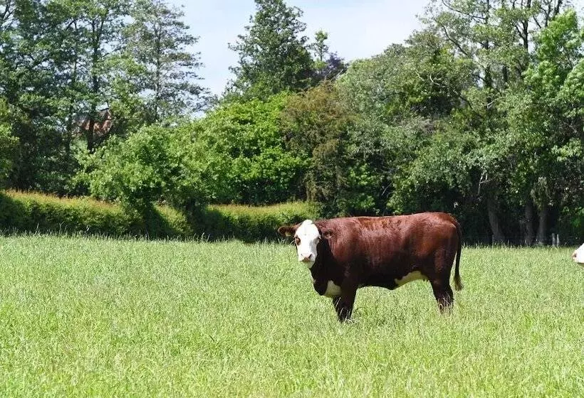 Rowley Farm Holidays