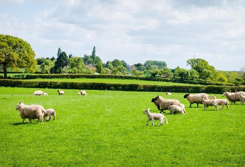 Rowley Farm Holidays