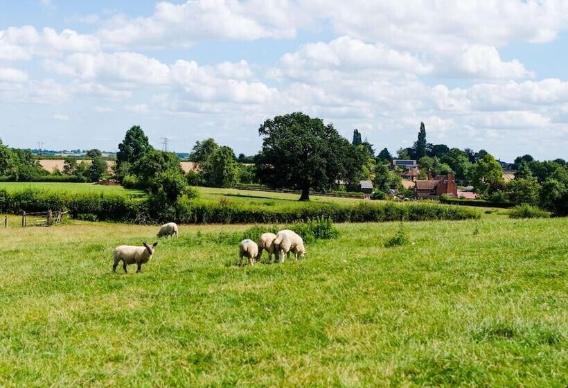 Rowley Farm Holidays