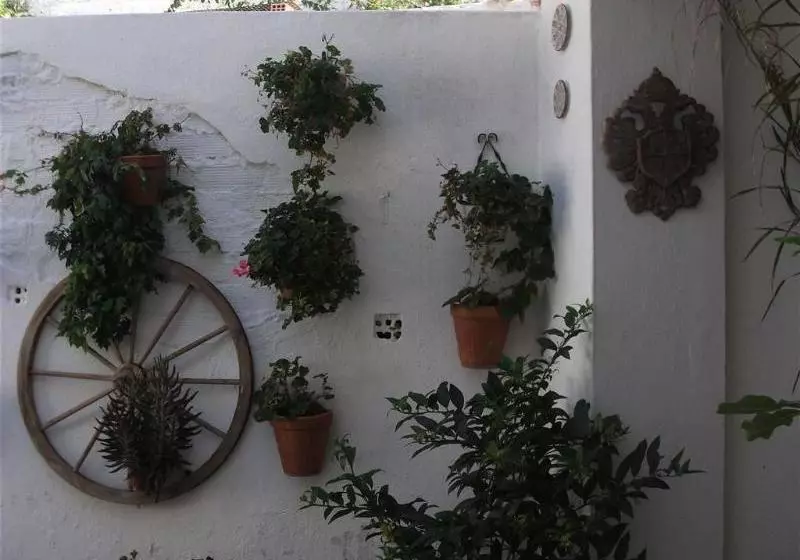 Alojamientos Casa Tejon