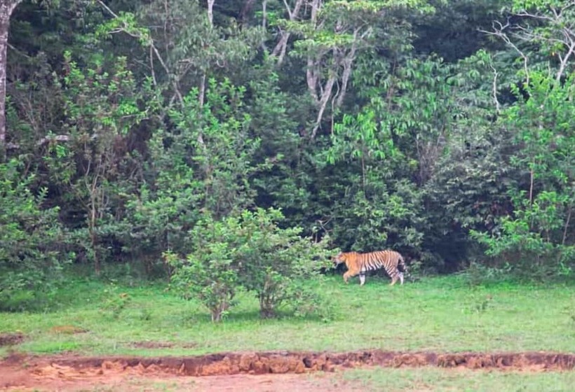 هتل Spice Villa Thekkady