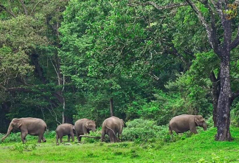 هتل Spice Villa Thekkady