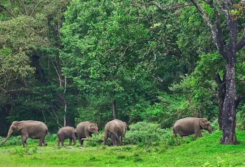 Hotelli Spice Villa Thekkady