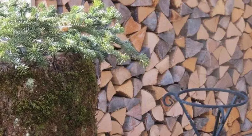 Majatalo Mountainlodge Dorfhaus