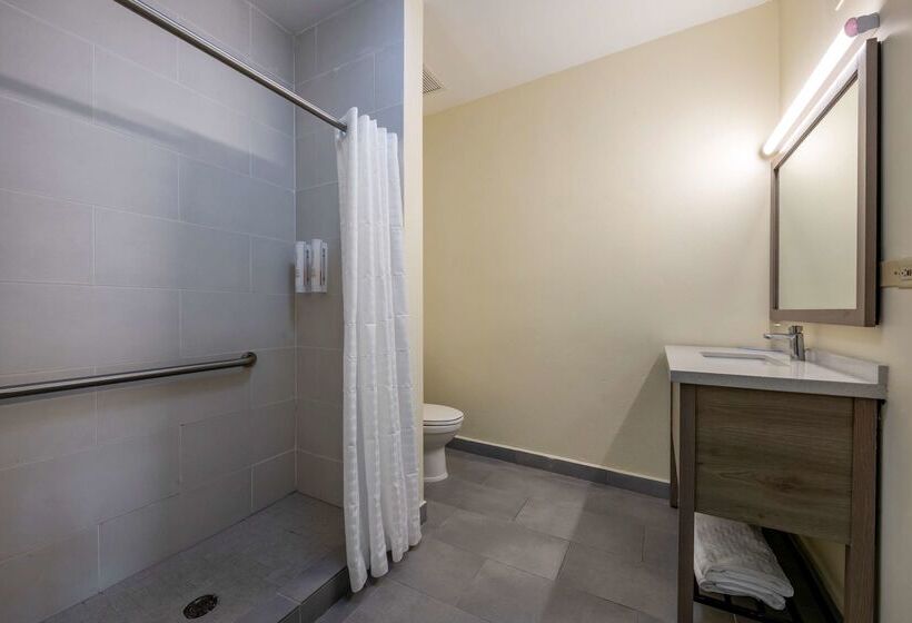 هتل Mayaguez Plaza, Bw Signature Collection