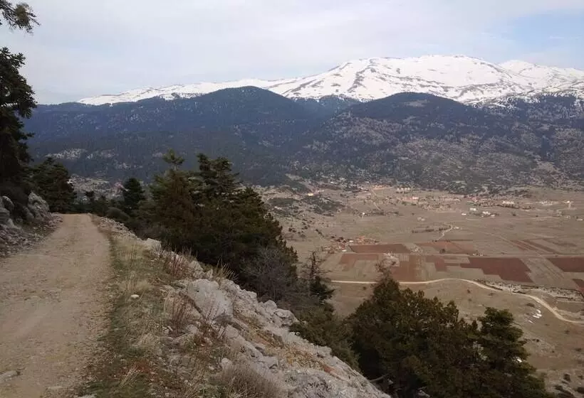 酒店 Parnassos Delphi