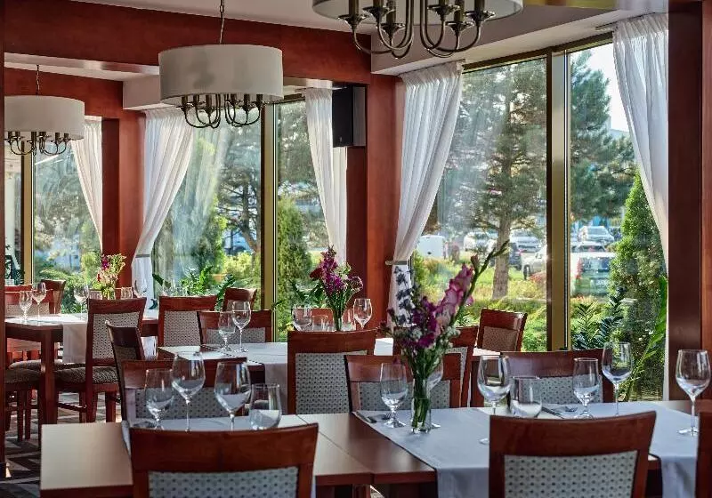 Great Polonia Kraków Airport   Ex Hotel Witek