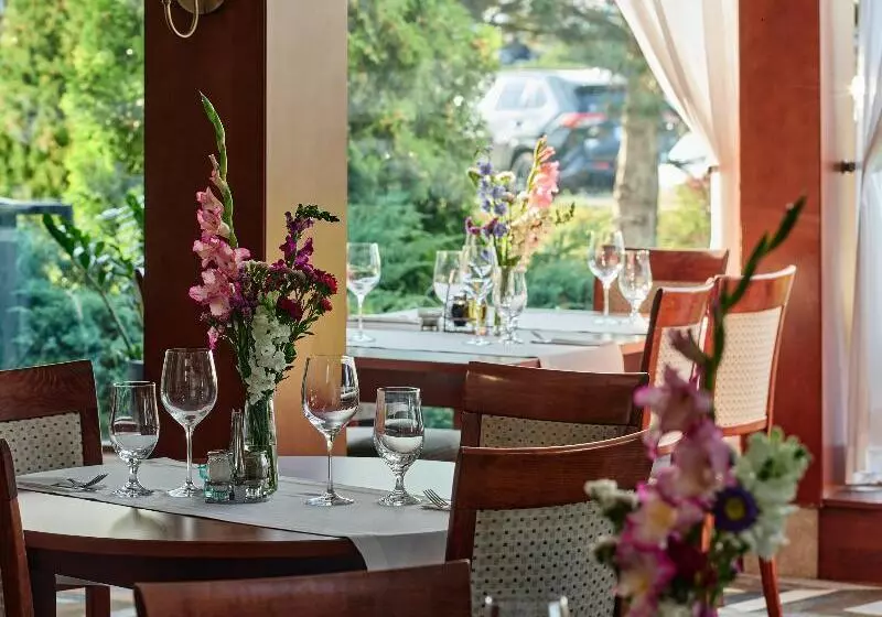 Great Polonia Kraków Airport   Ex Hotel Witek