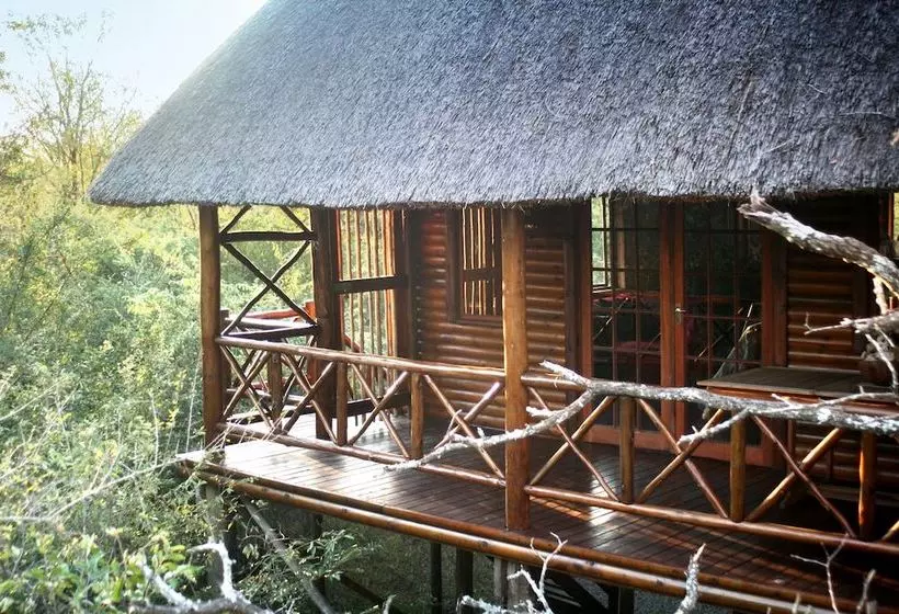 Hotelli Lion Tree Bush Lodge