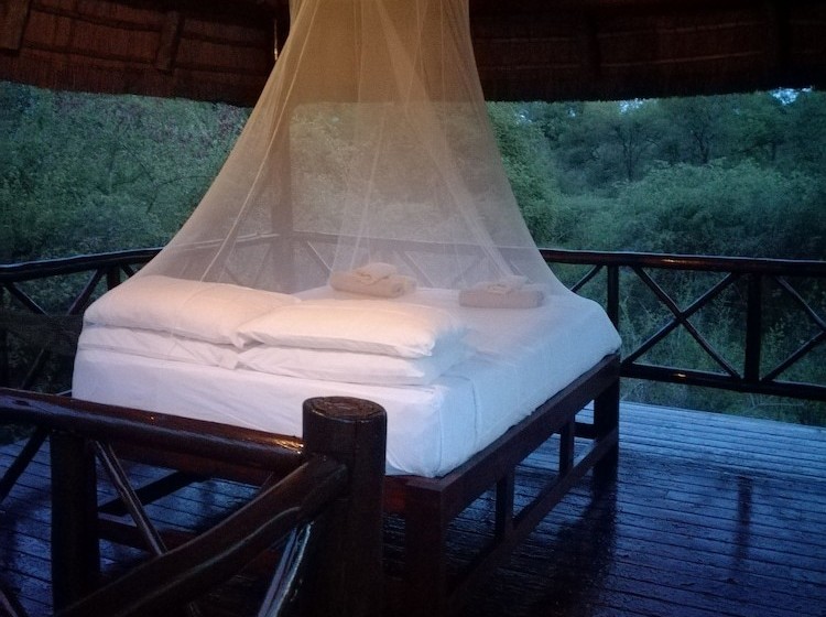 Hotell Lion Tree Bush Lodge