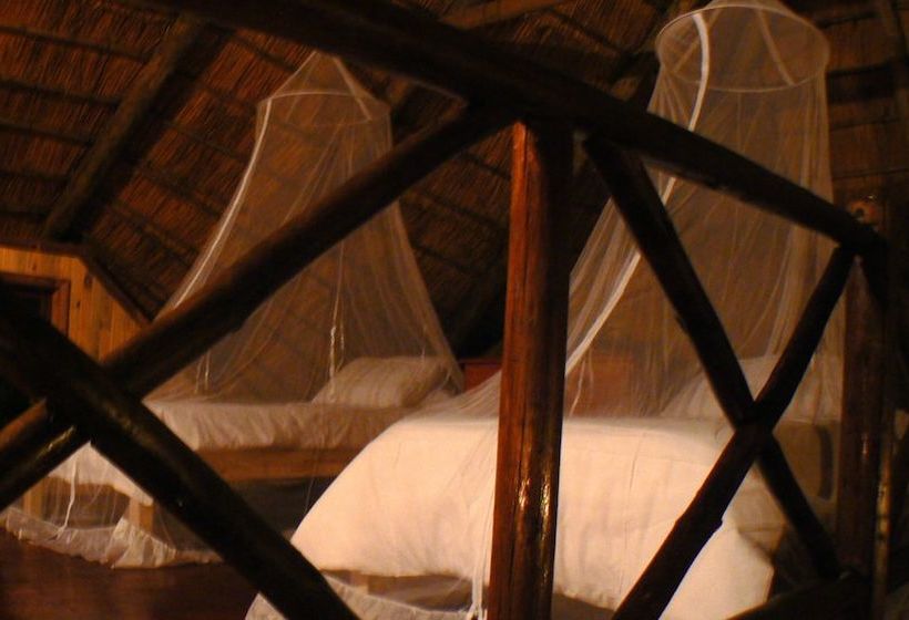 Hotell Lion Tree Bush Lodge