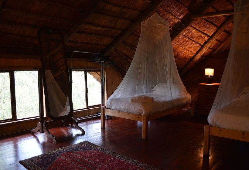 Hotell Lion Tree Bush Lodge