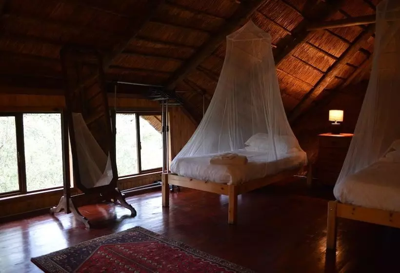 Hotelli Lion Tree Bush Lodge