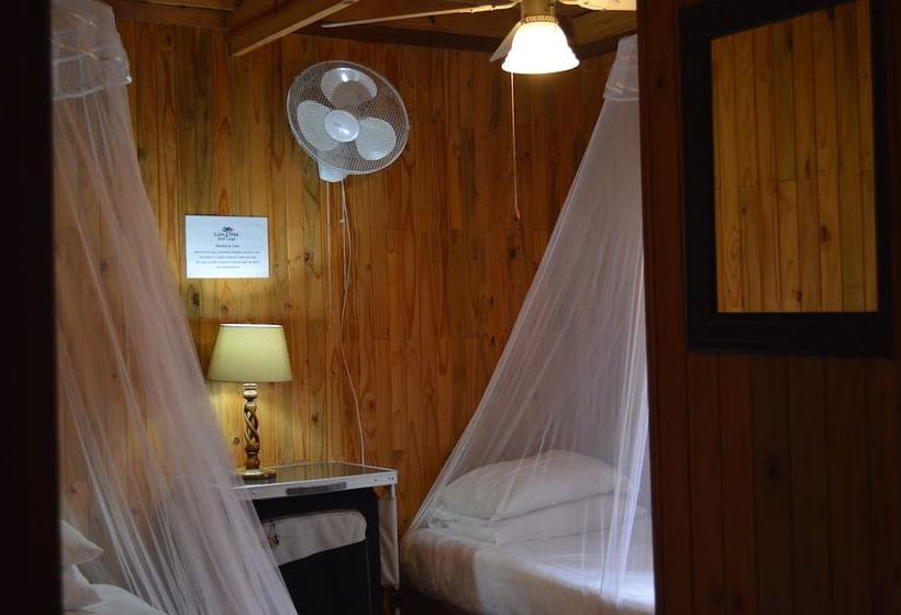 Hotell Lion Tree Bush Lodge