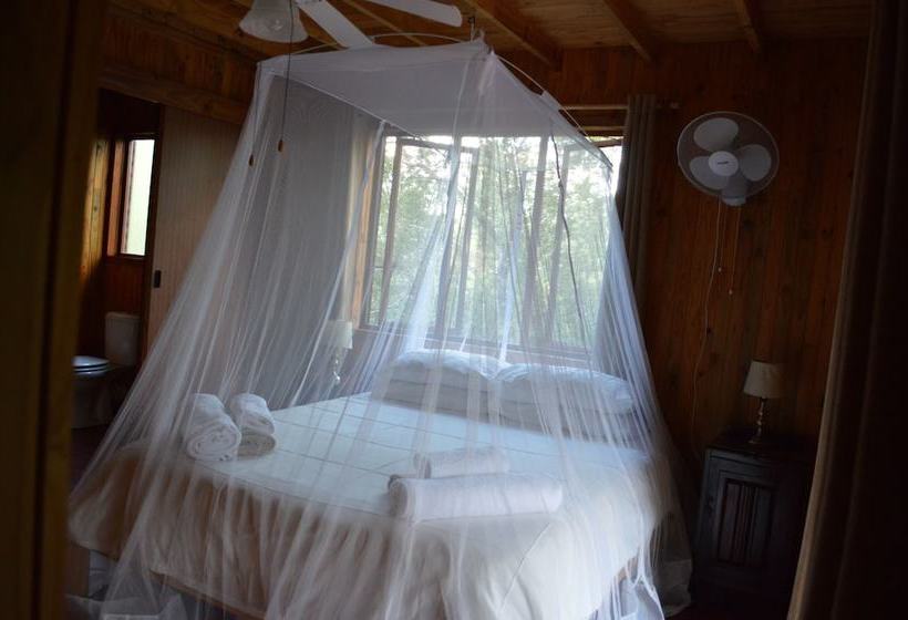 Hotell Lion Tree Bush Lodge