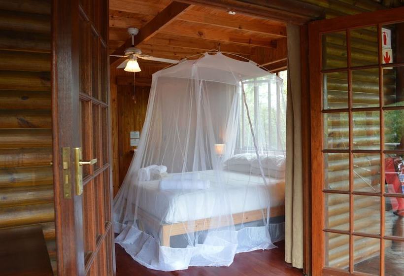 Hotell Lion Tree Bush Lodge